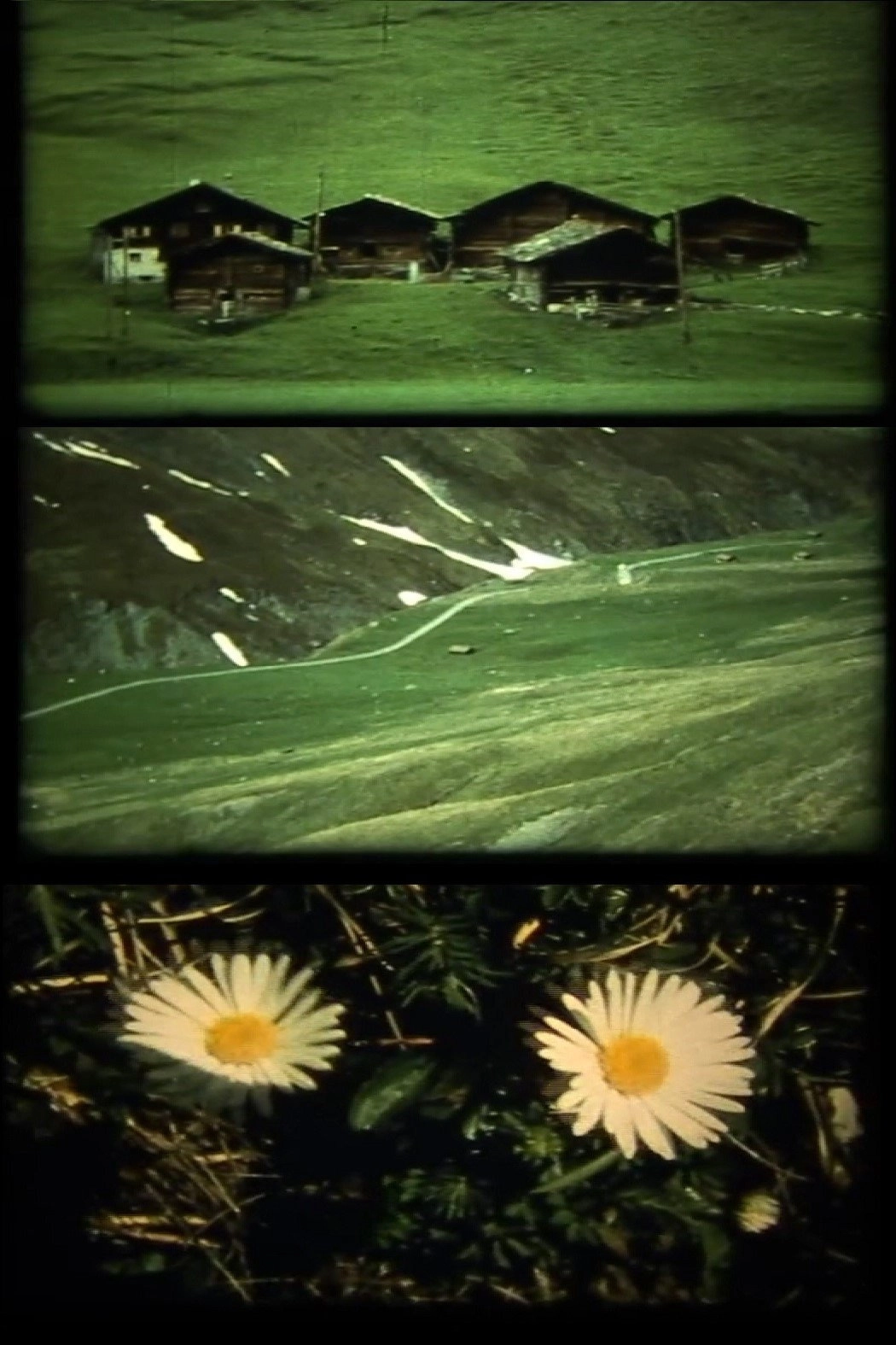 Spaziergänge
