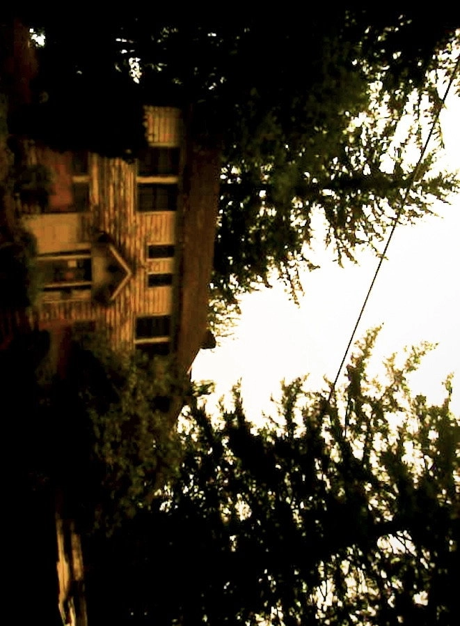 evan's house