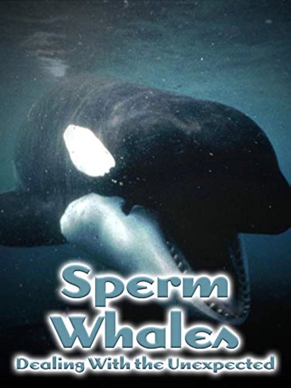 Sperm Whales: Dealing with the Unexpected
