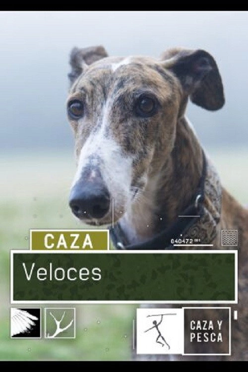 Veloces (2018)