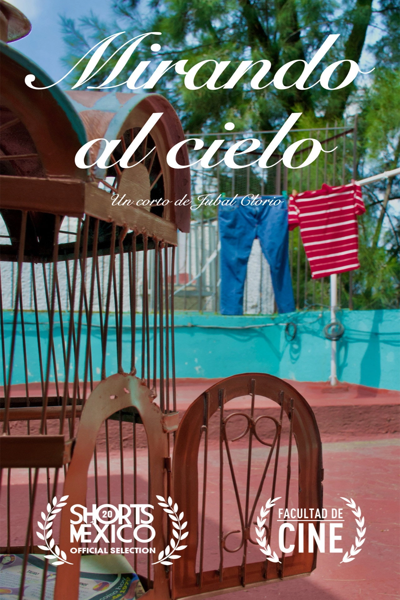 Mirando al Cielo