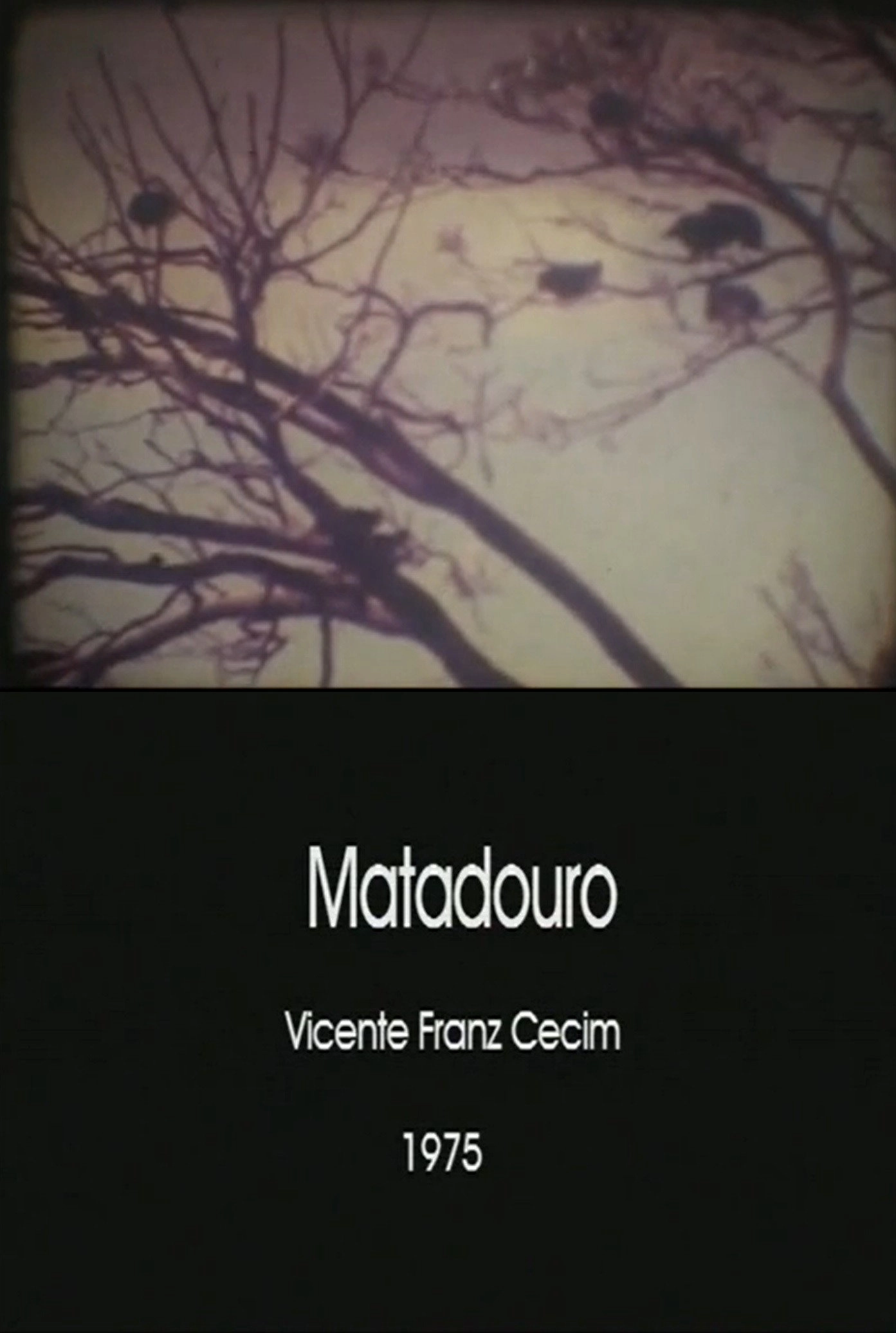 Matadouro