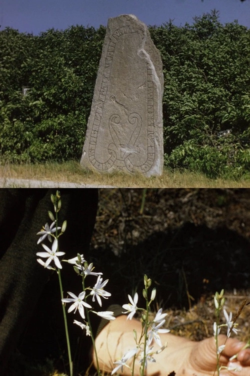 Öland and Gotland