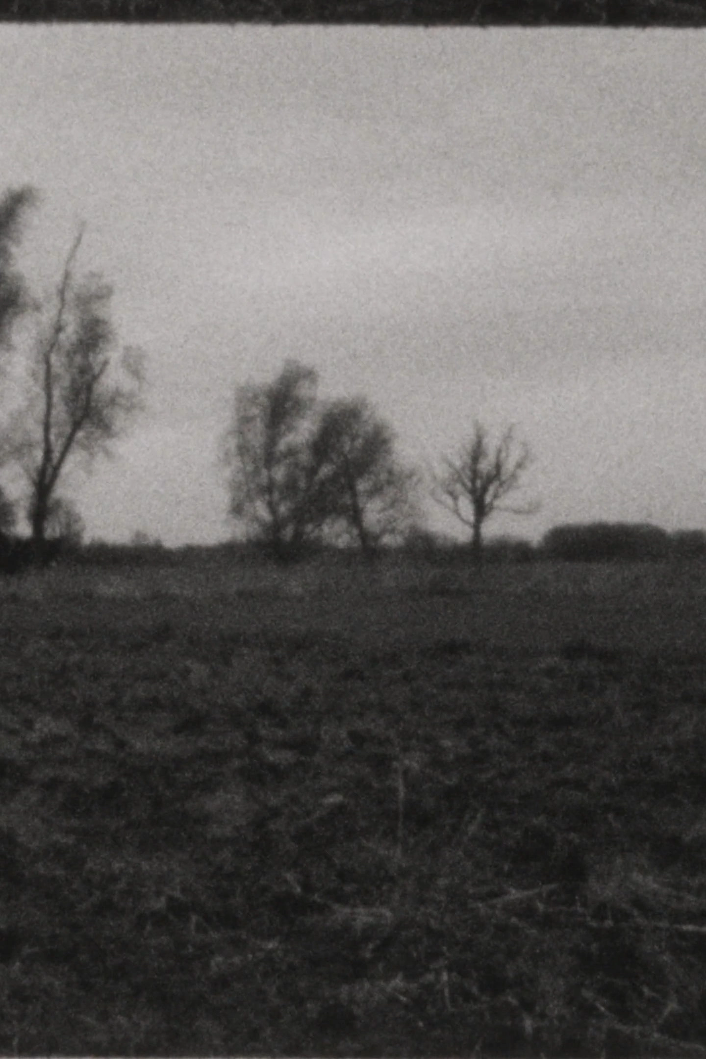 Landscape as Landscape 10