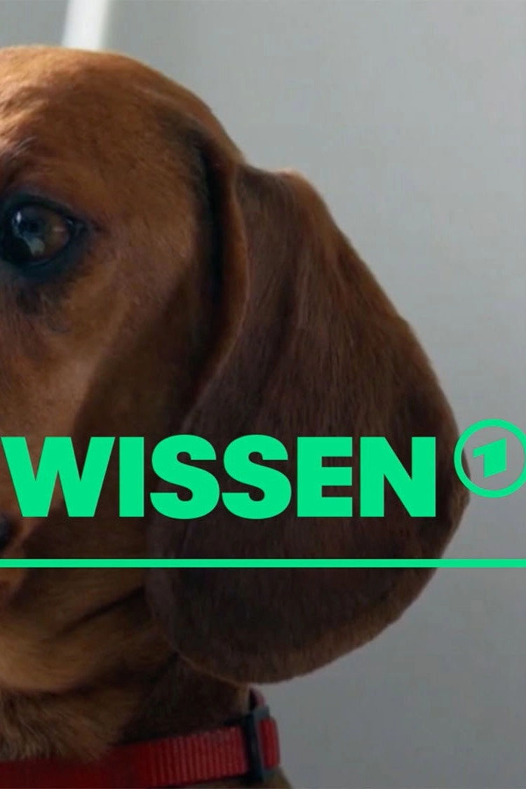 [W] wie Wissen