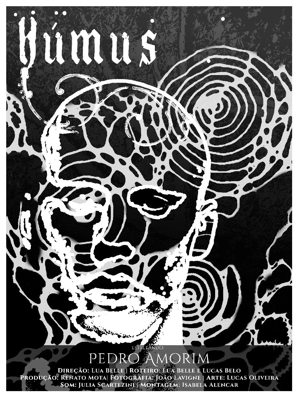 Húmus