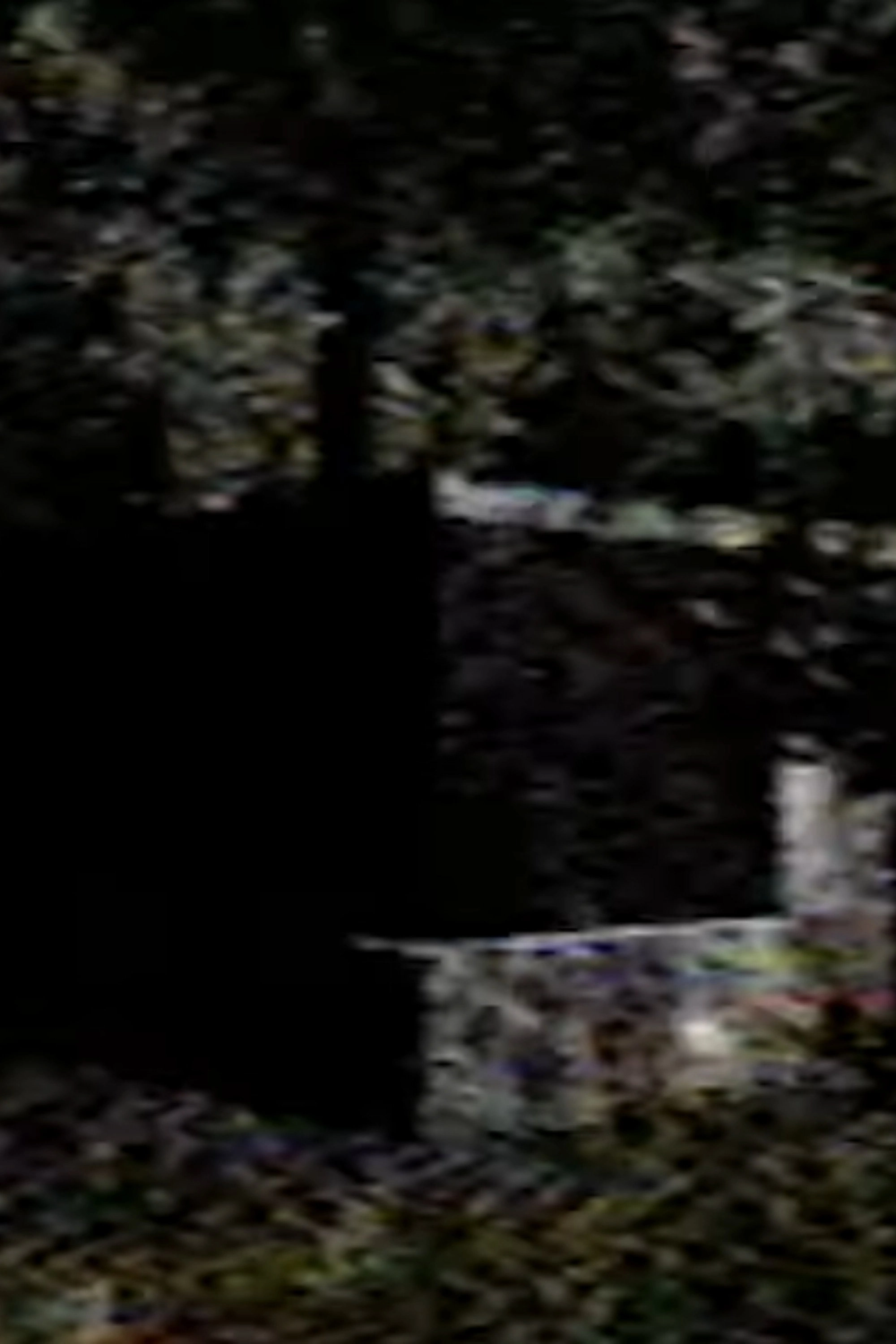 0.mp4