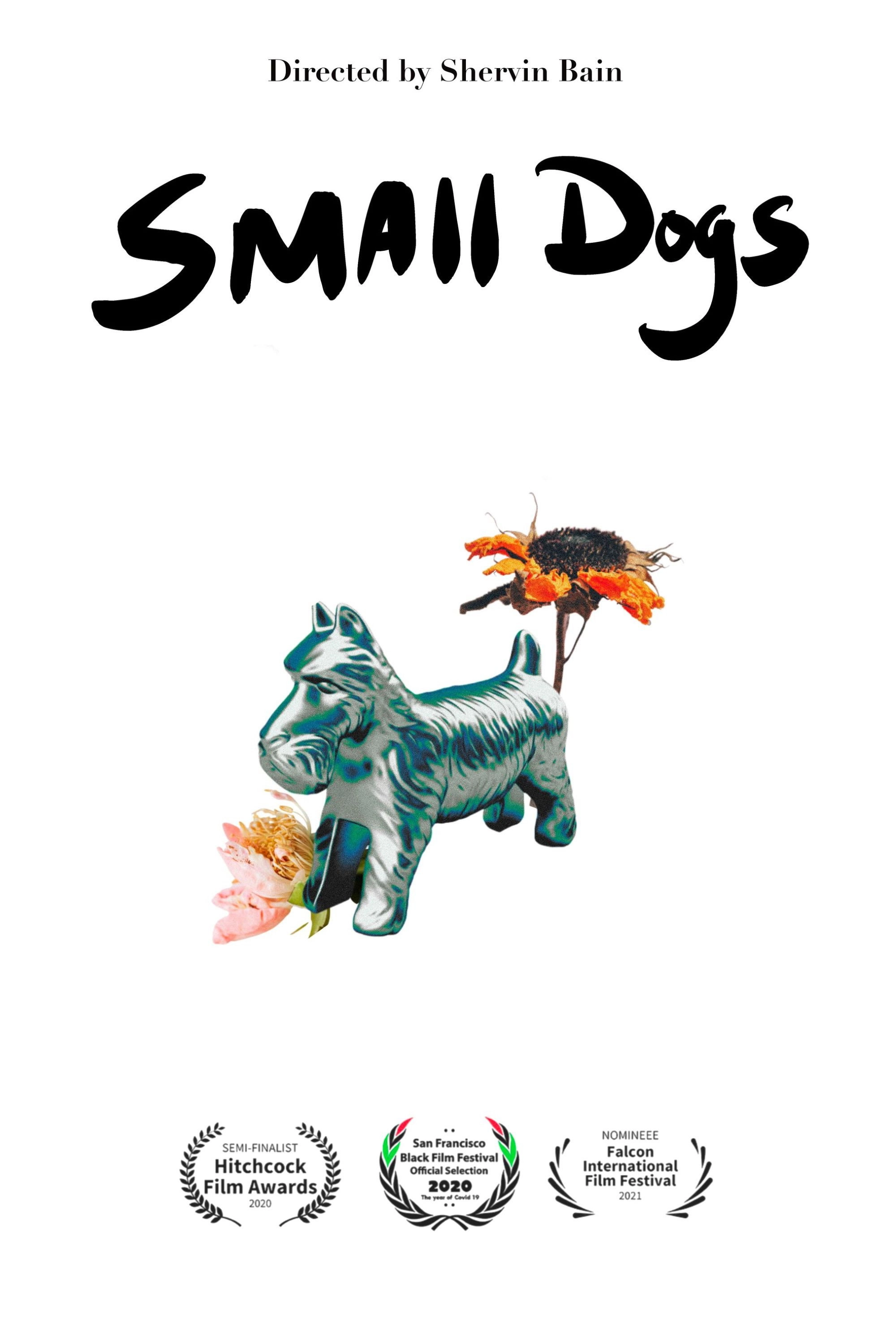 Small Dogs