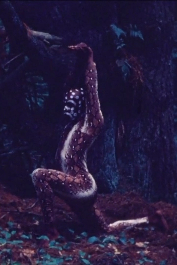 Snake Dance Teacher Dance