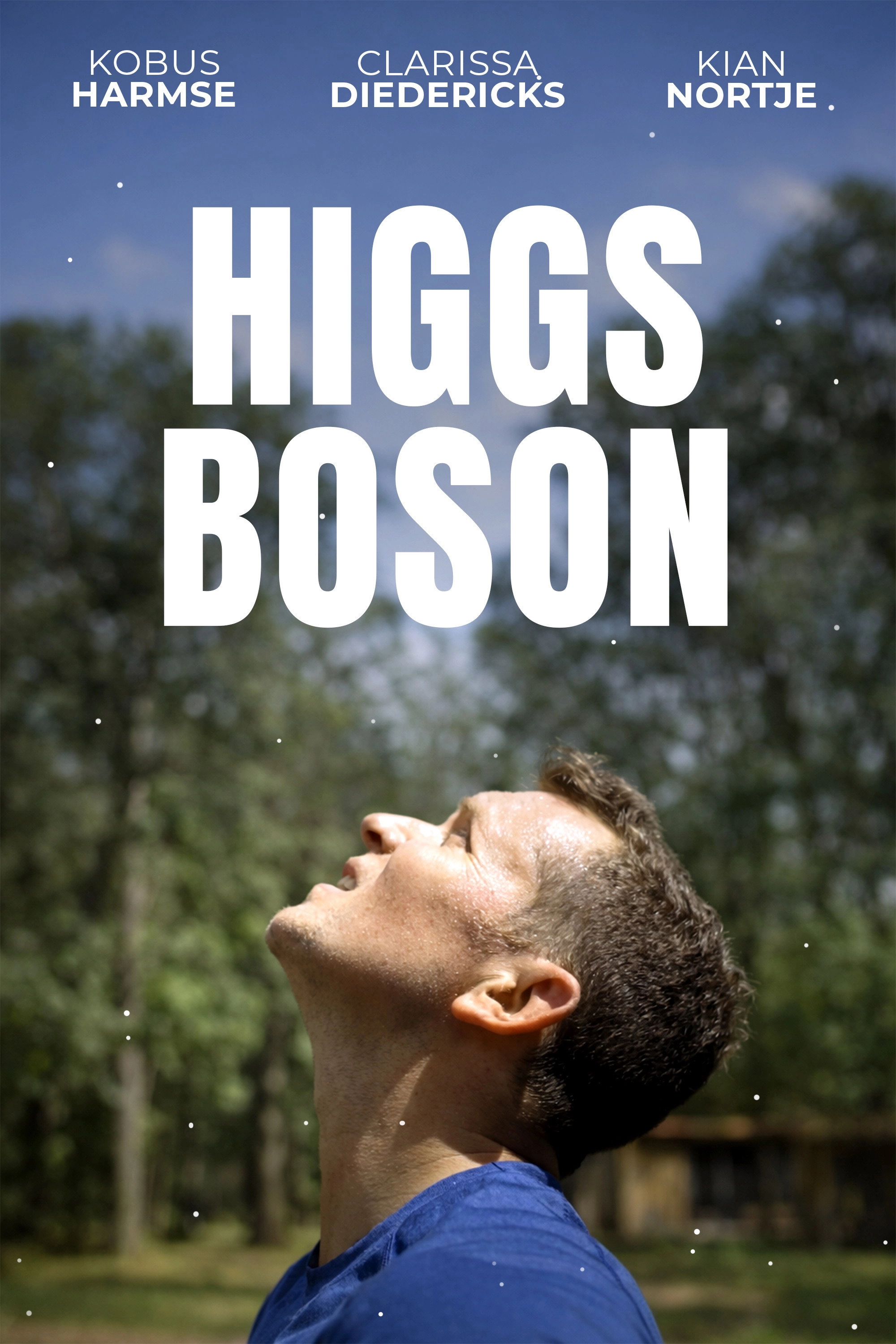Higgs Boson
