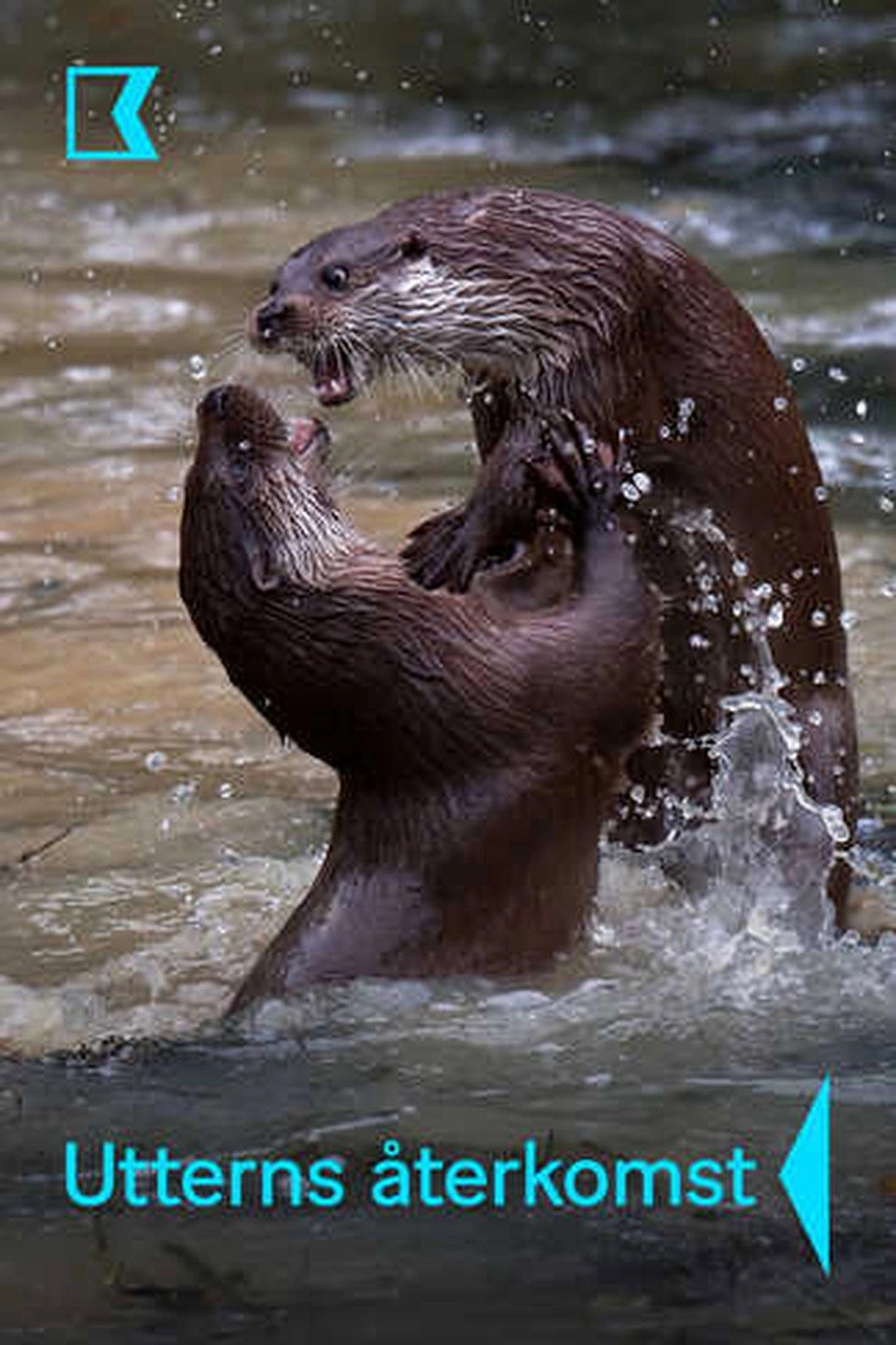 De Terugkeer van de Otter