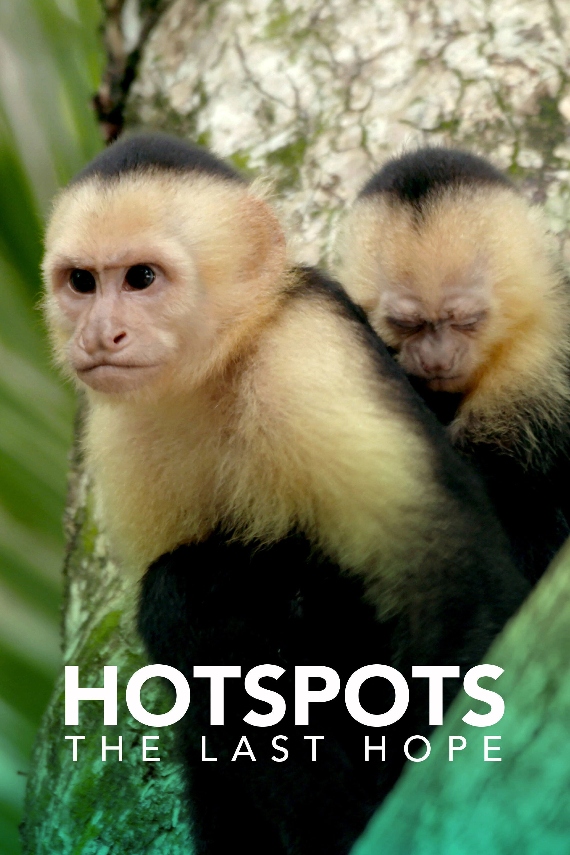 Hotspots: The Last Hope