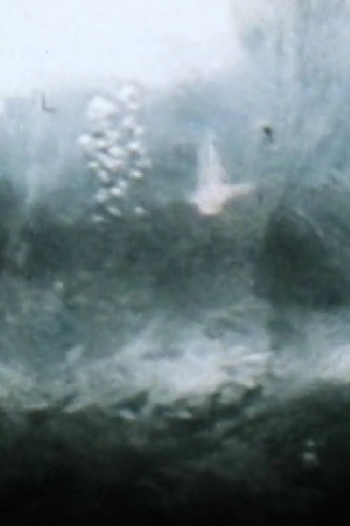 Snow Movies