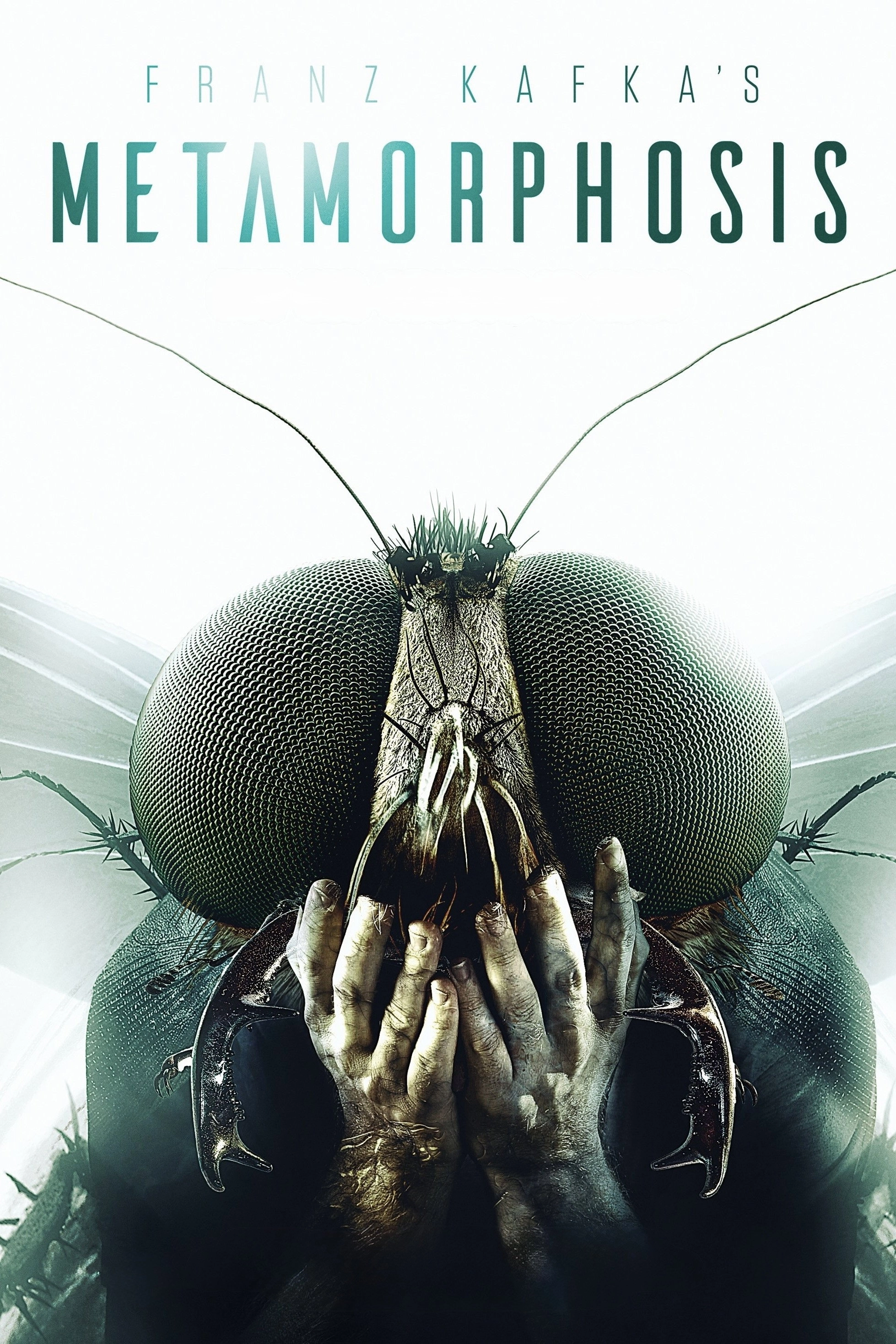 Metamorphosis