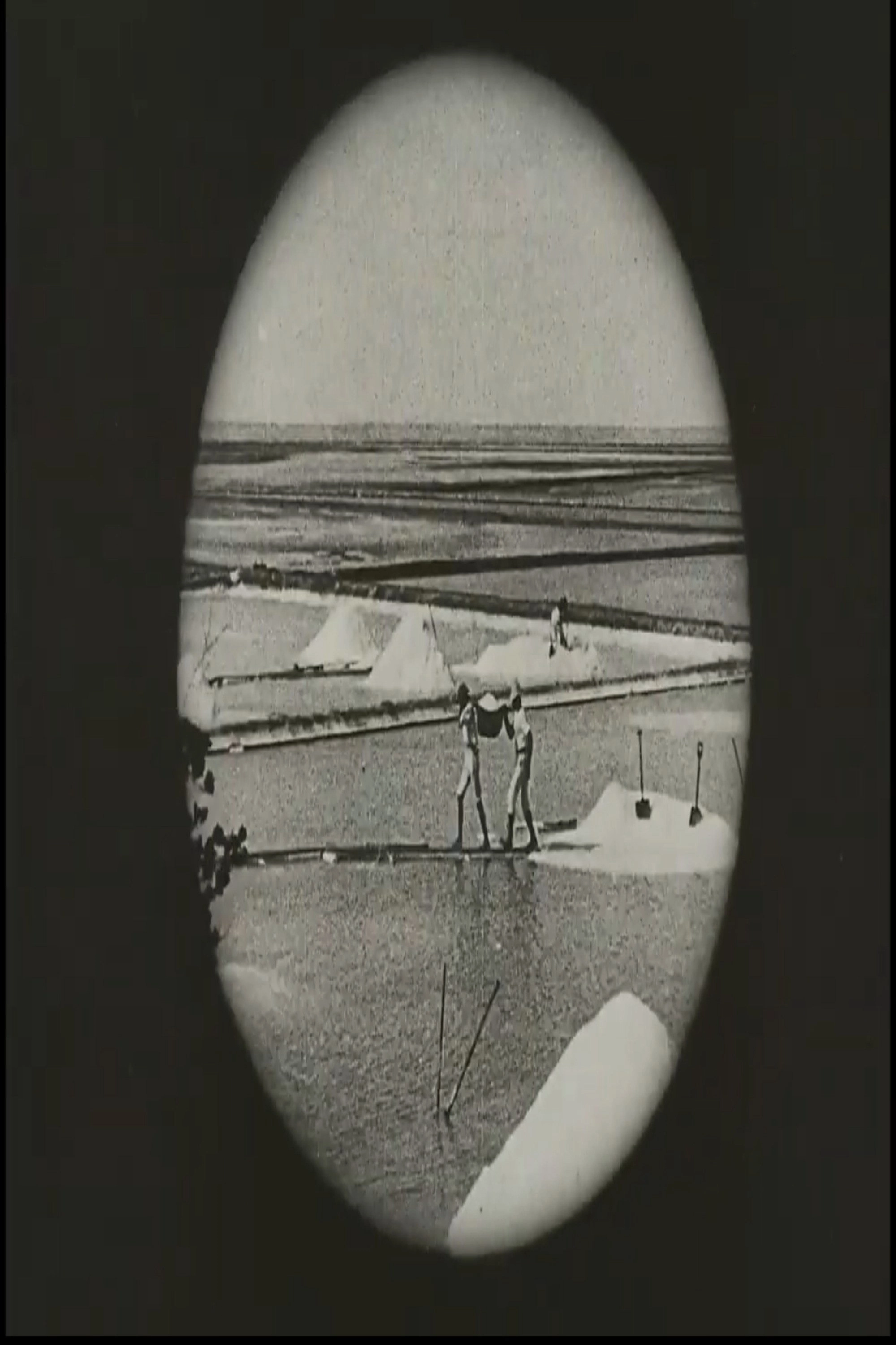 Voyage au Brésil