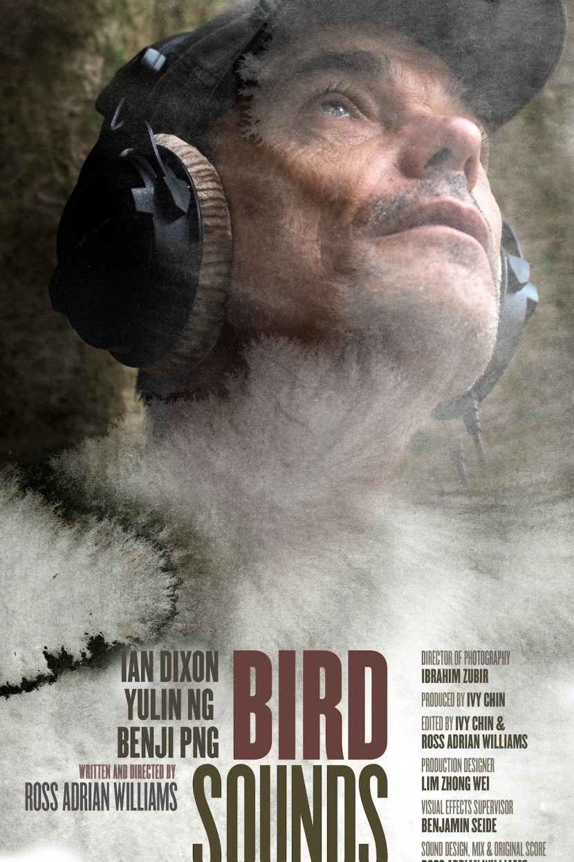 Bird Sounds