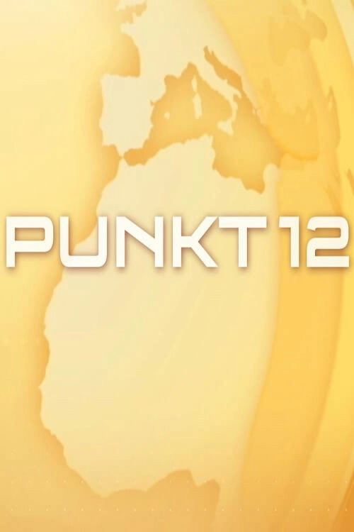 Punkt 12