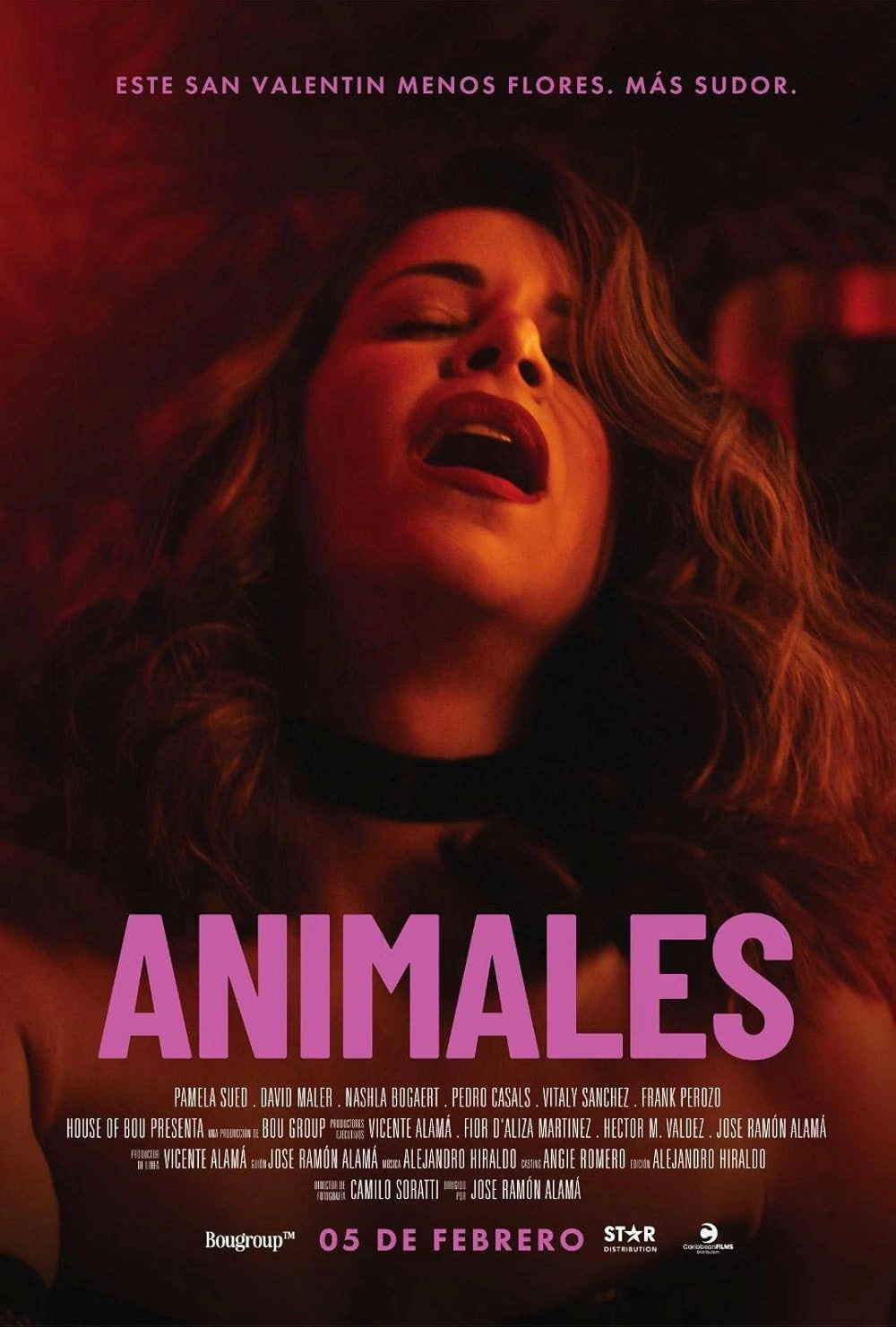 Animals