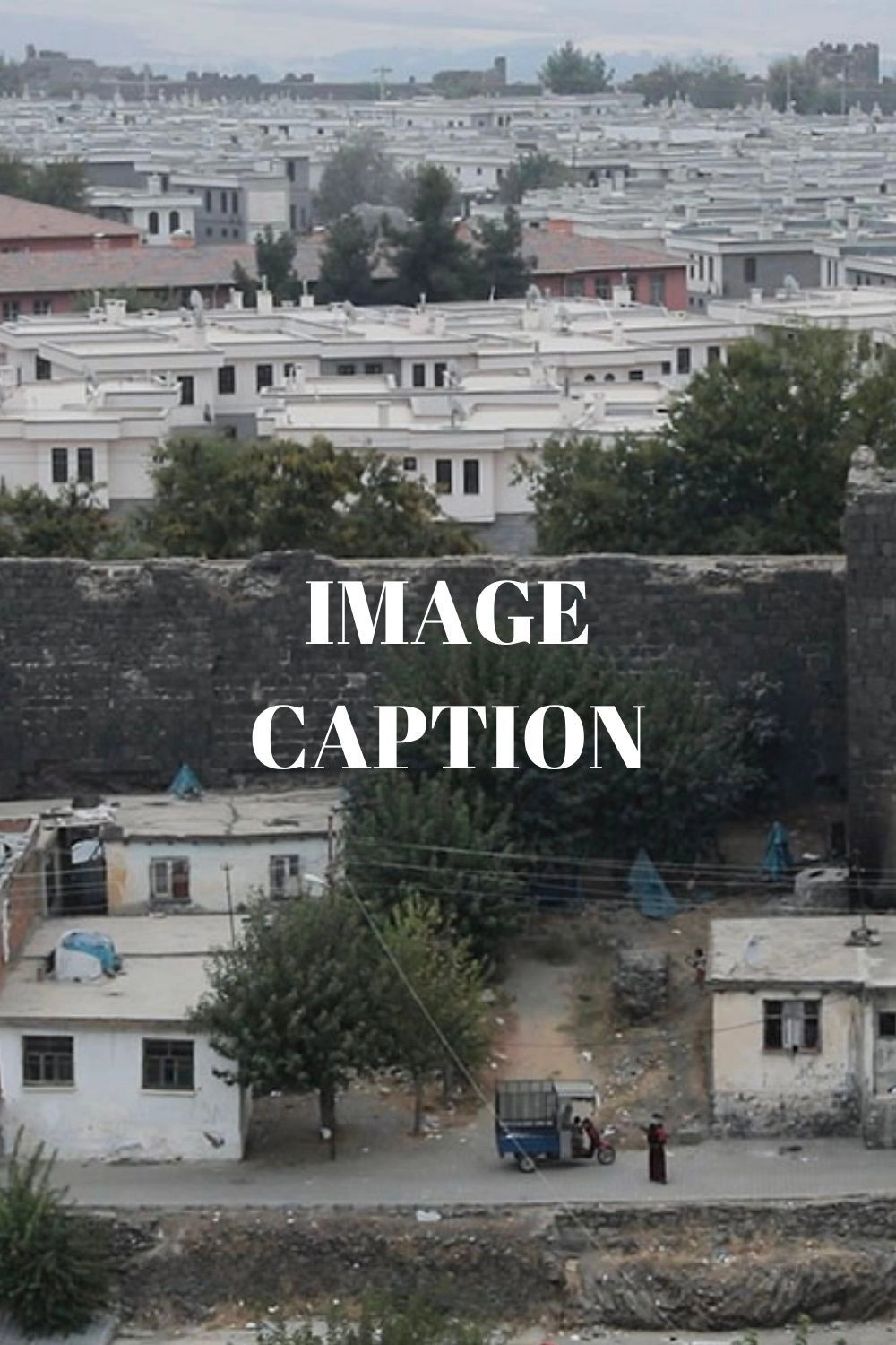 Image Caption