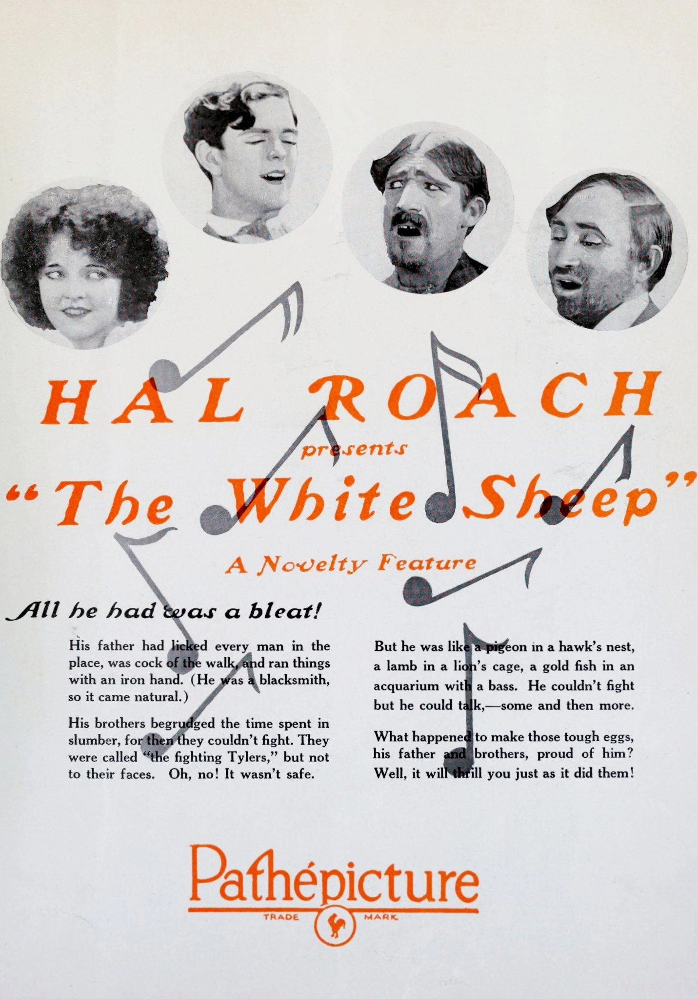 The White Sheep
