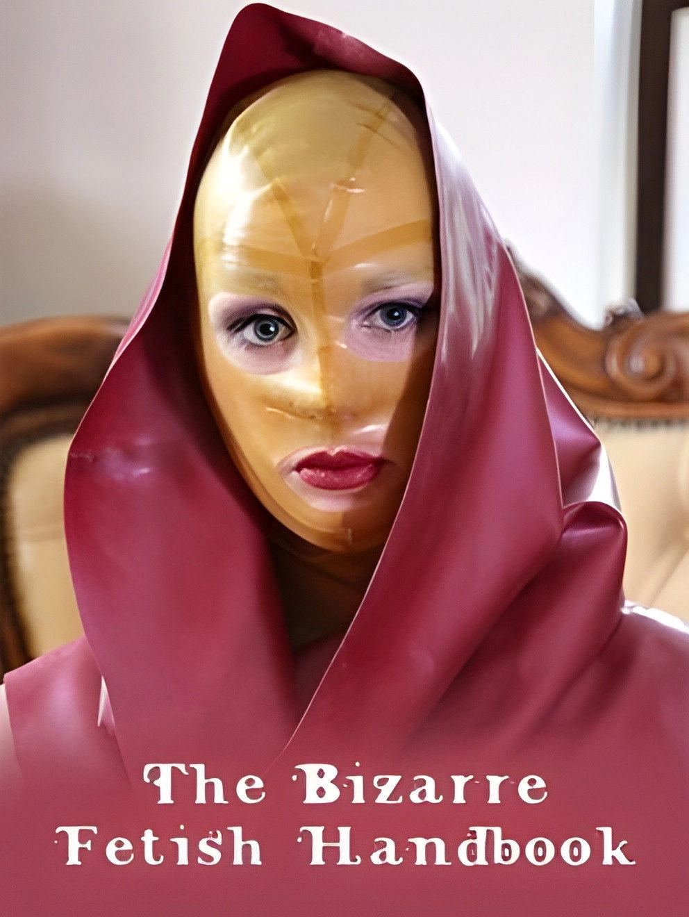 The Bizarre Fetish Handbook