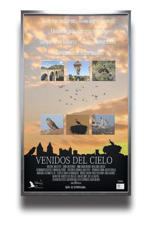 Venidos Del Cielo