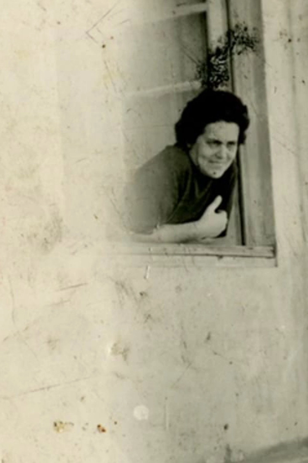 The Window