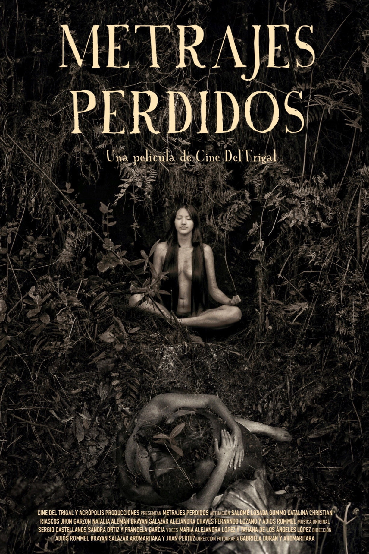 Metrajes Perdidos