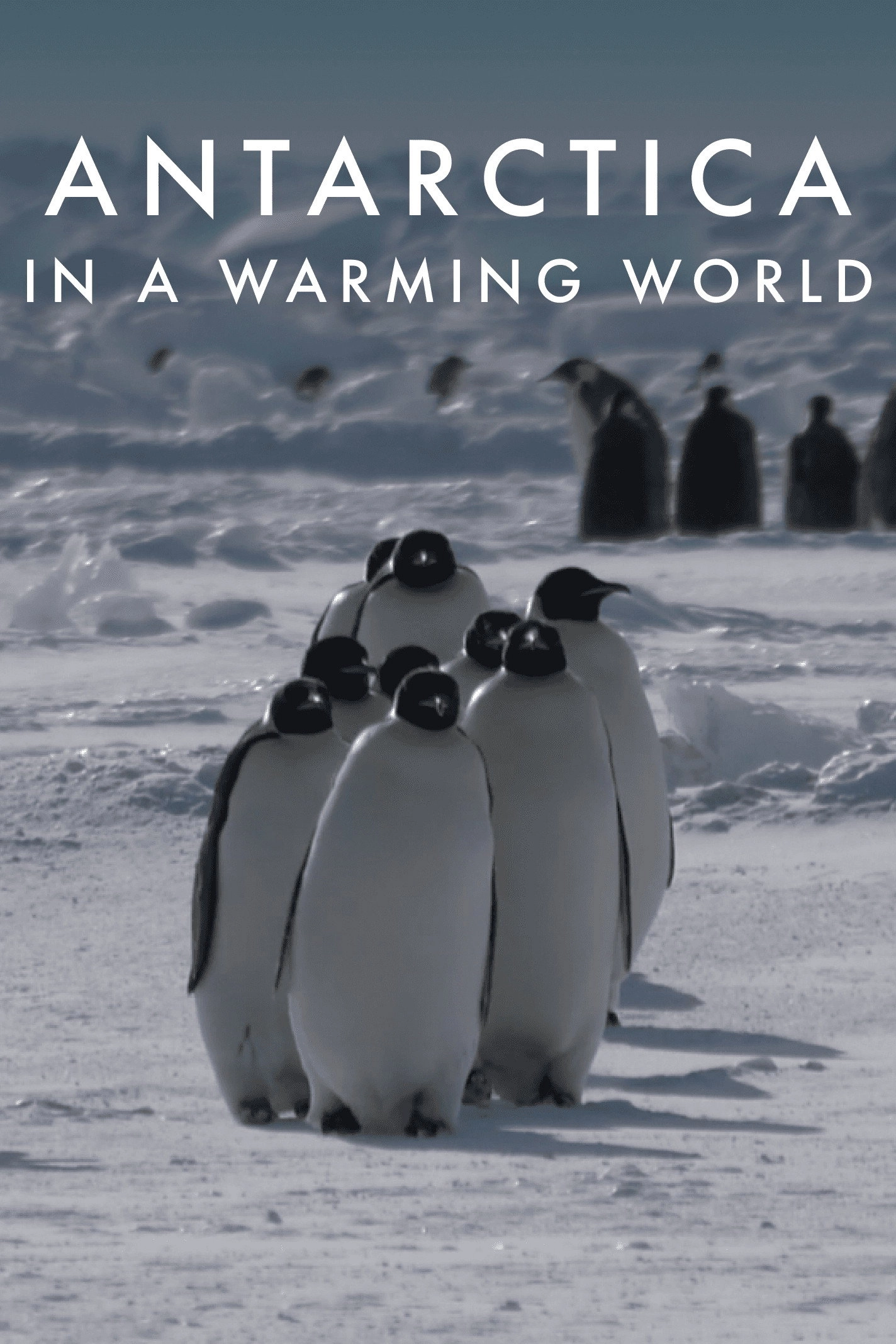 Antarctica in a Warming World