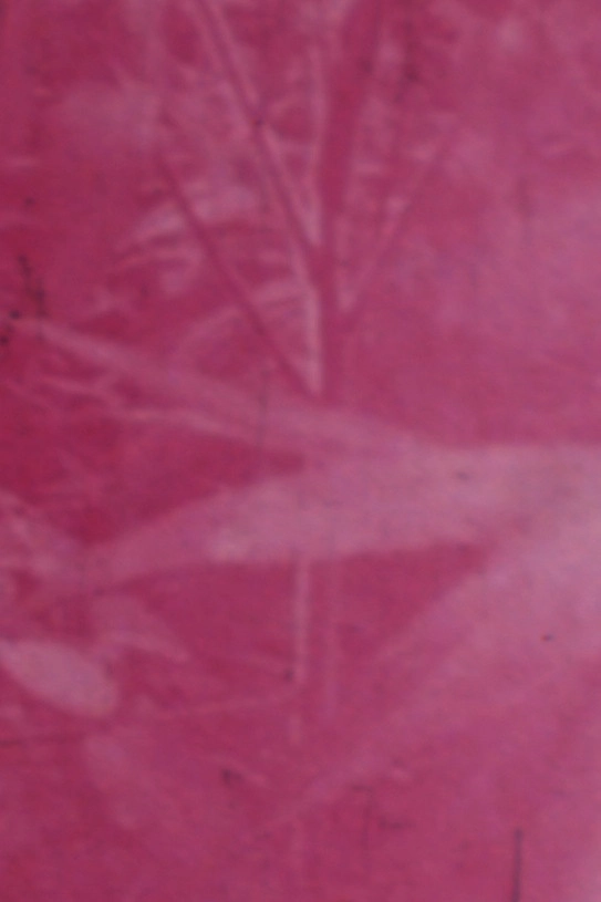 Ornamentals