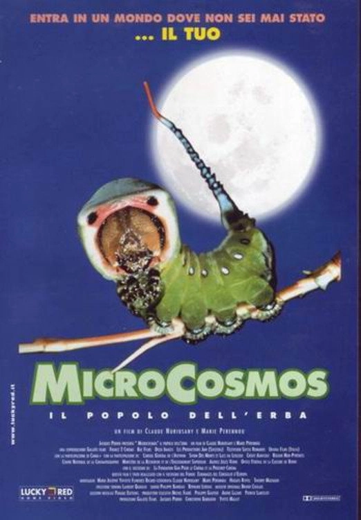 Microcosmos