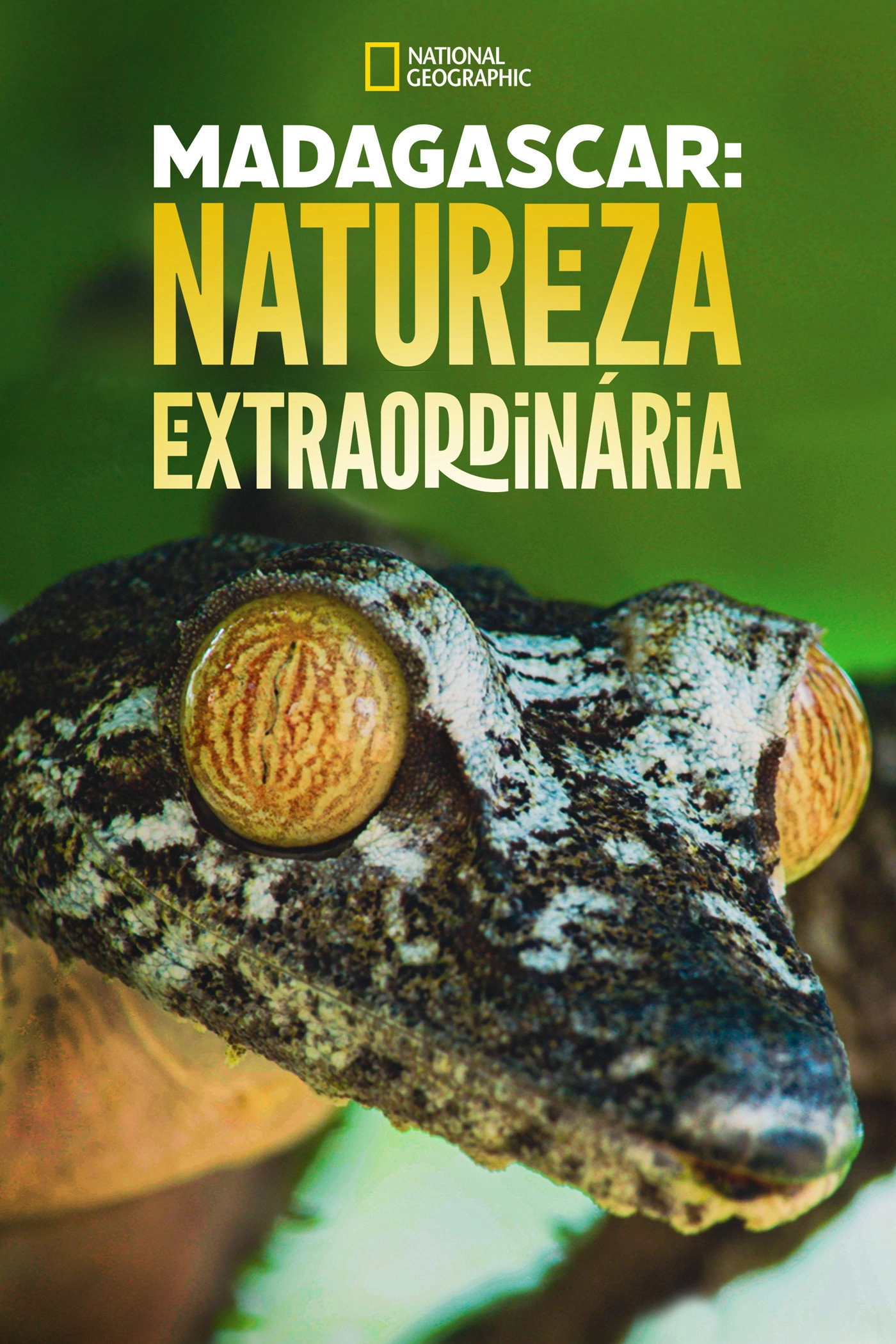 Madagascar's Weirdest