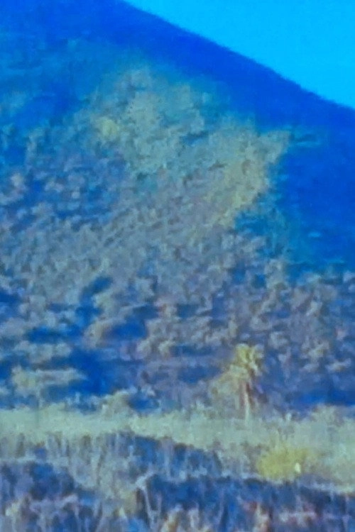 El volcán