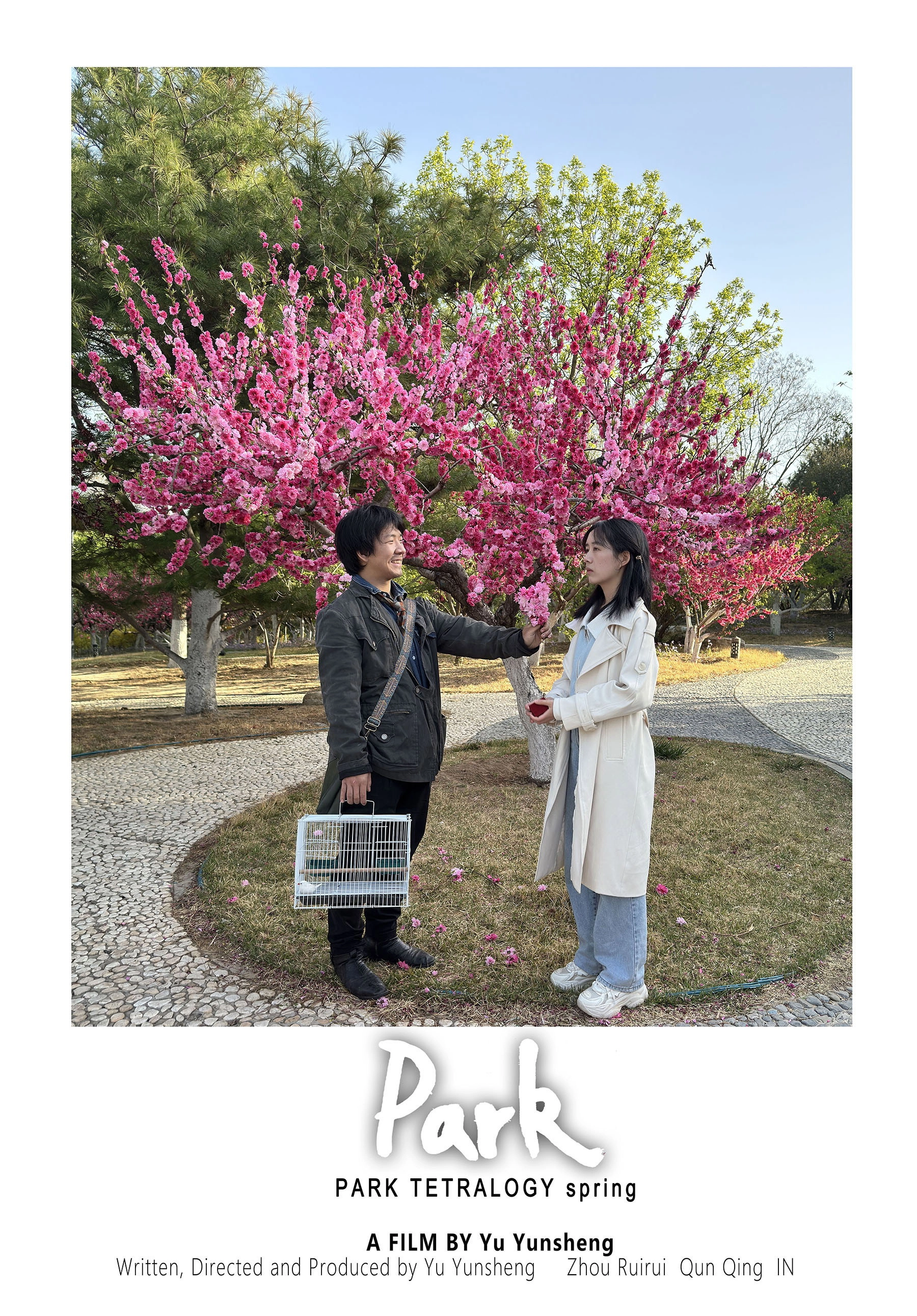 PARK tetralogy spring