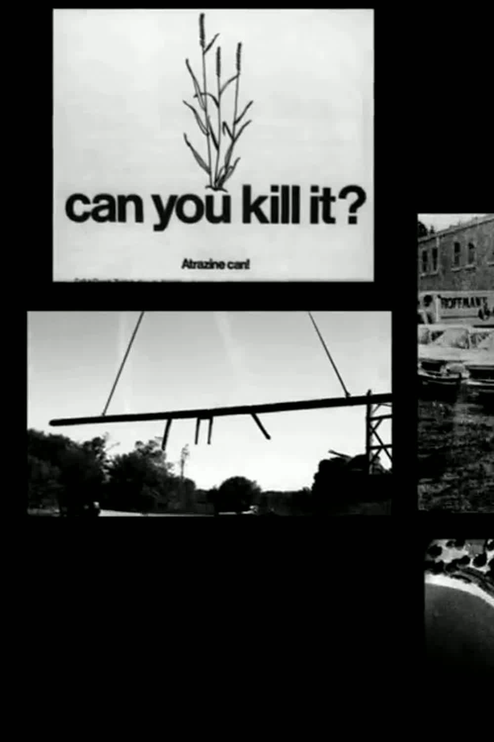 Slaughterhouse