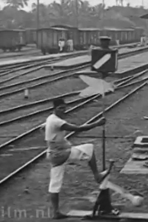 Line Weltevreden