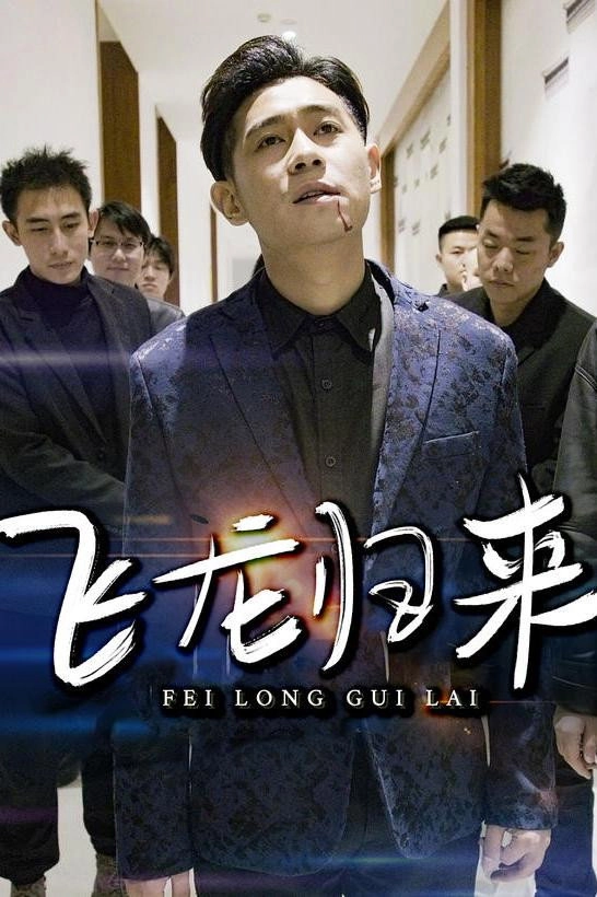 飞龙归来