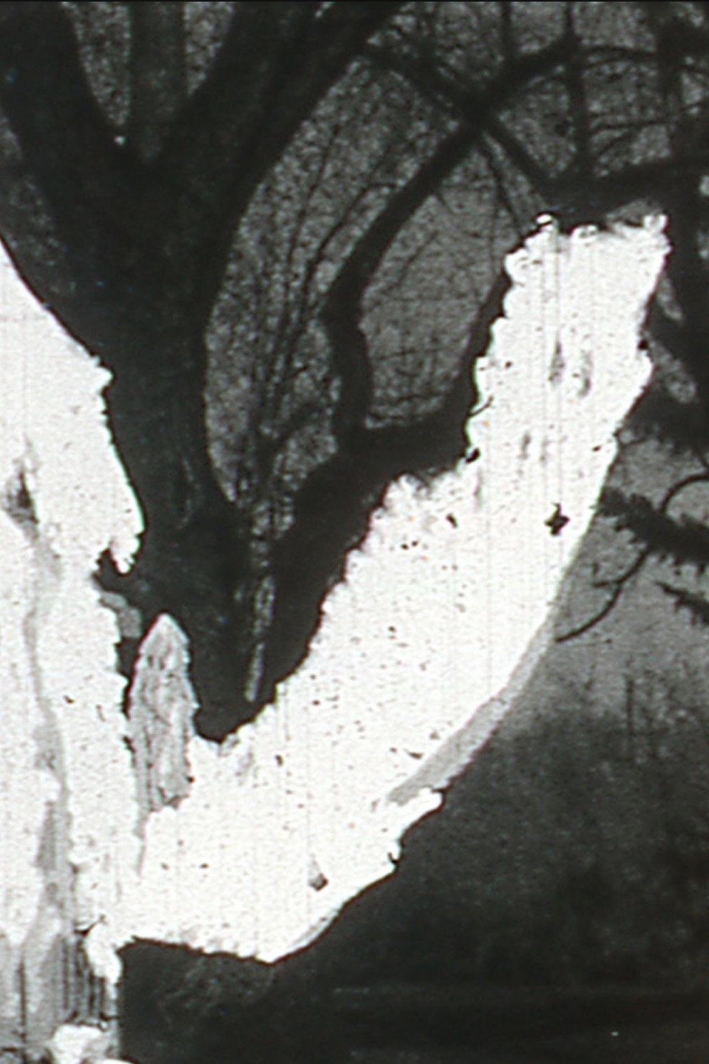 Black Vision
