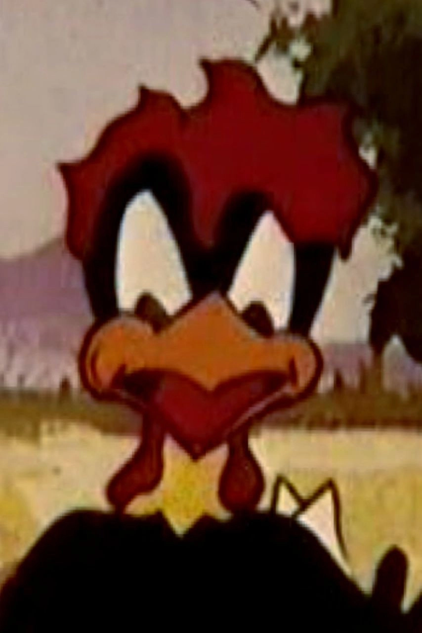 Head of Wheat
