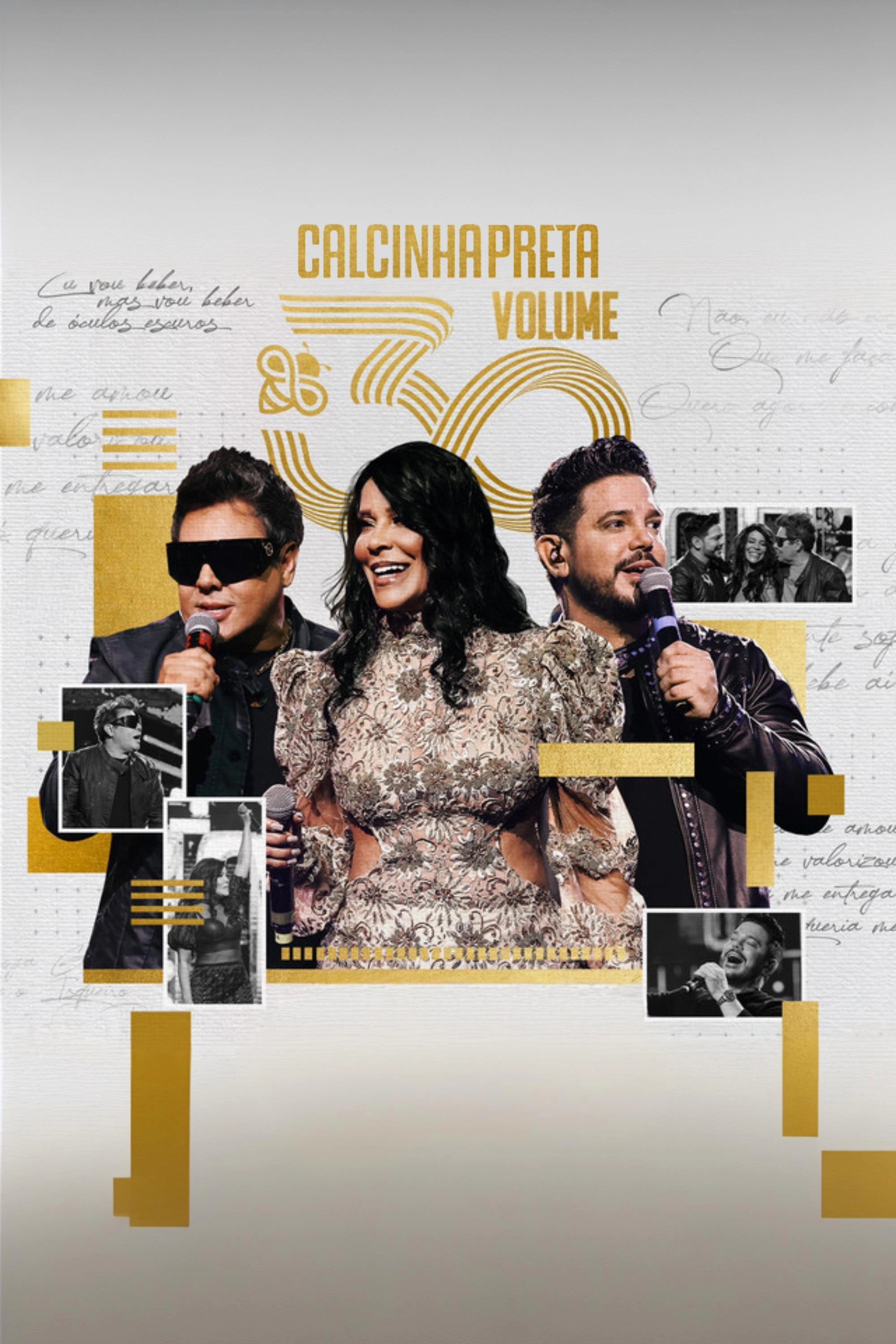 Calcinha Preta - Volume 30