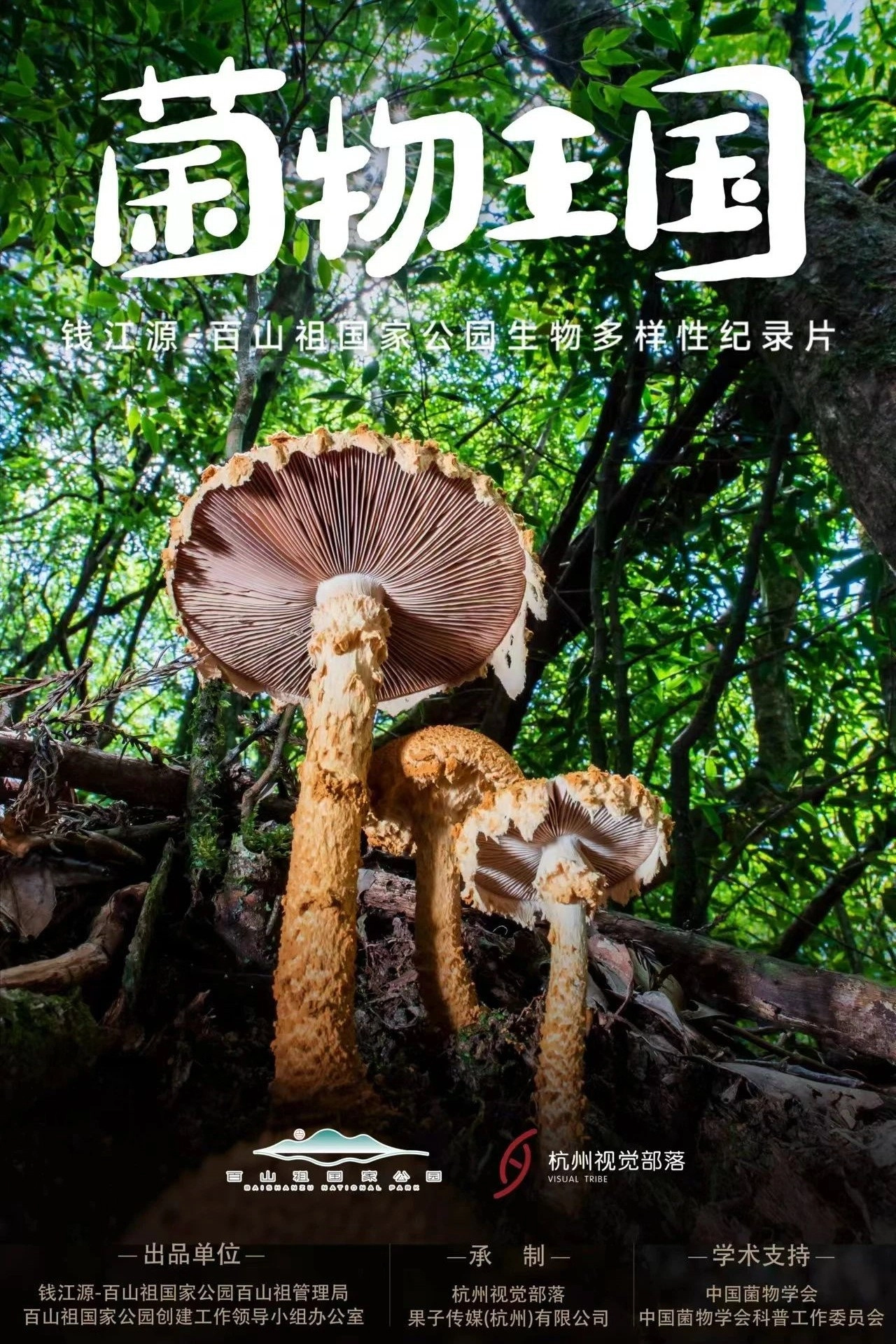 菌物王国