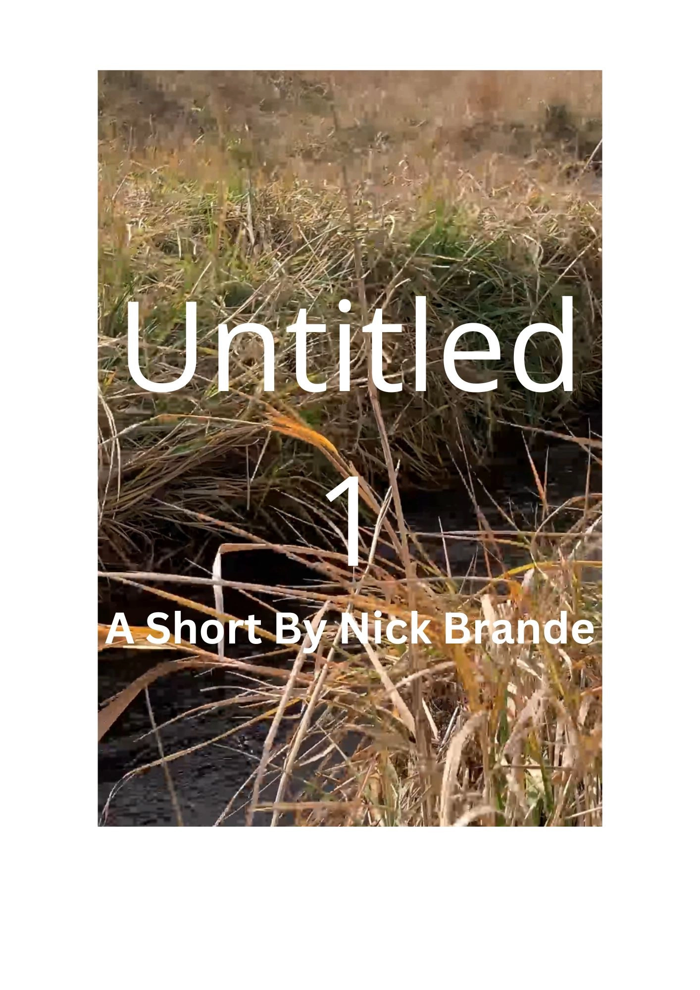 Untitled 1