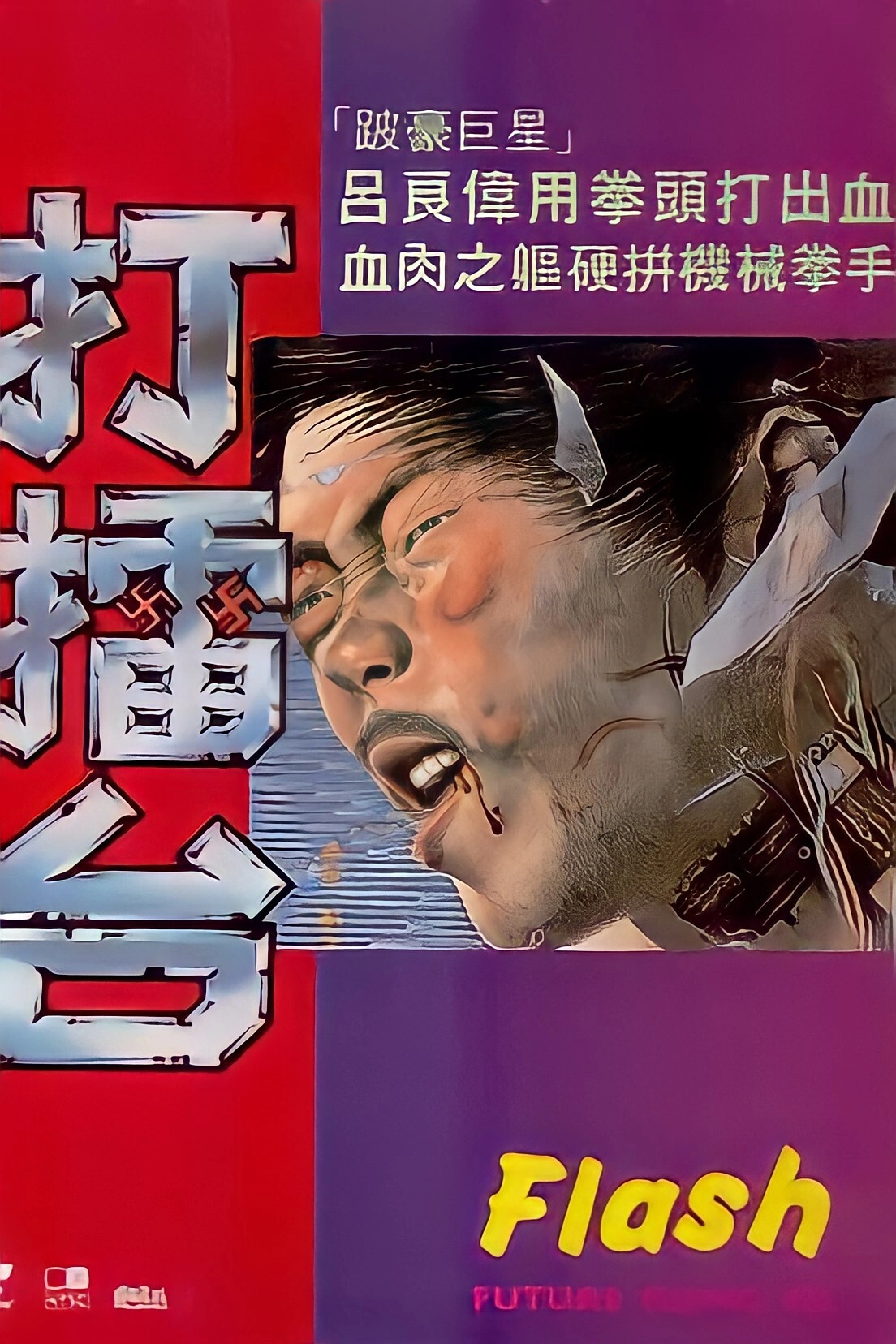 Flash Future Kung Fu