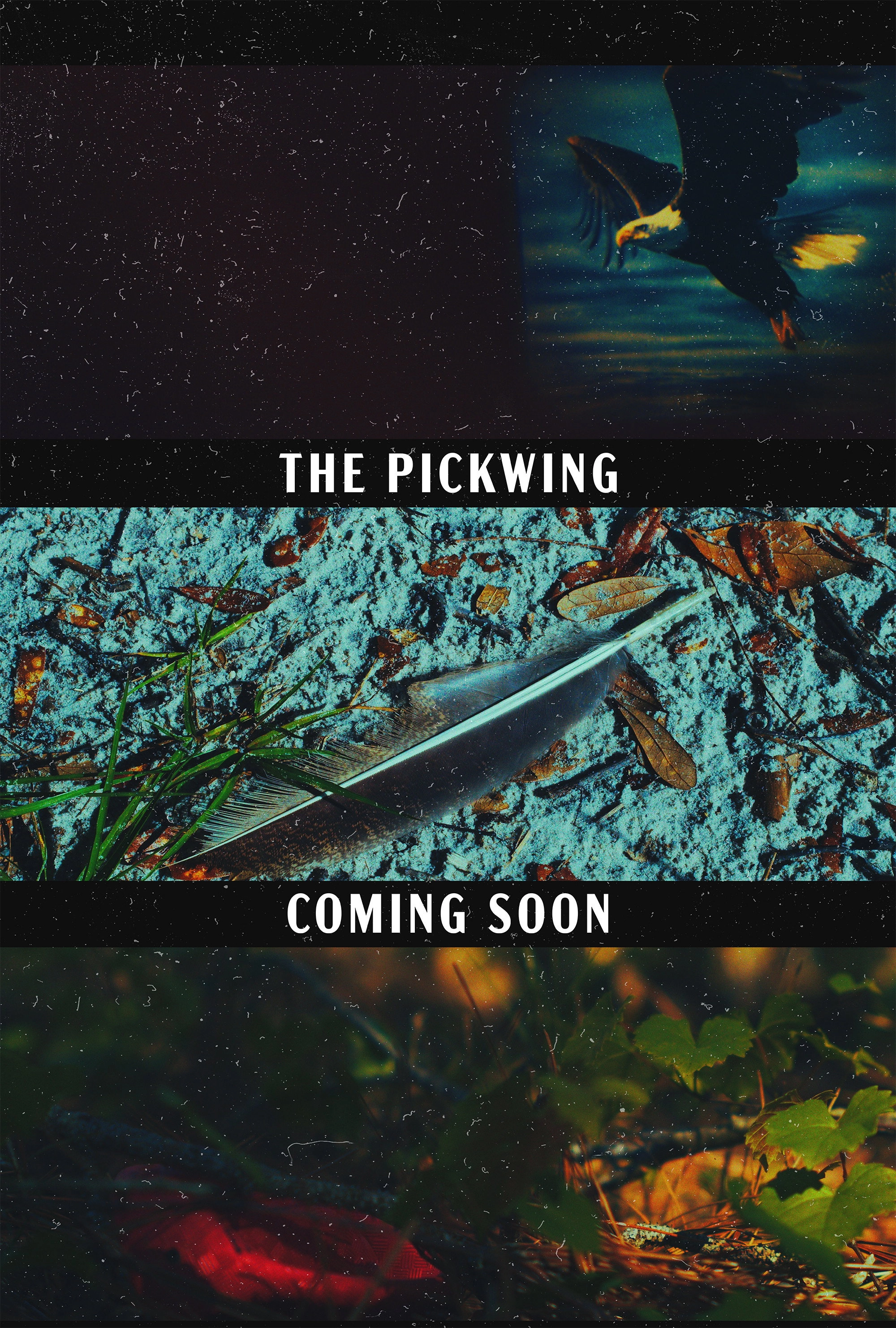 The Pickwing