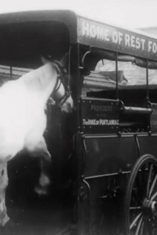 Horses' New Year's Feast