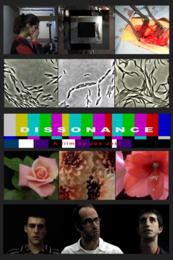 Dissonance