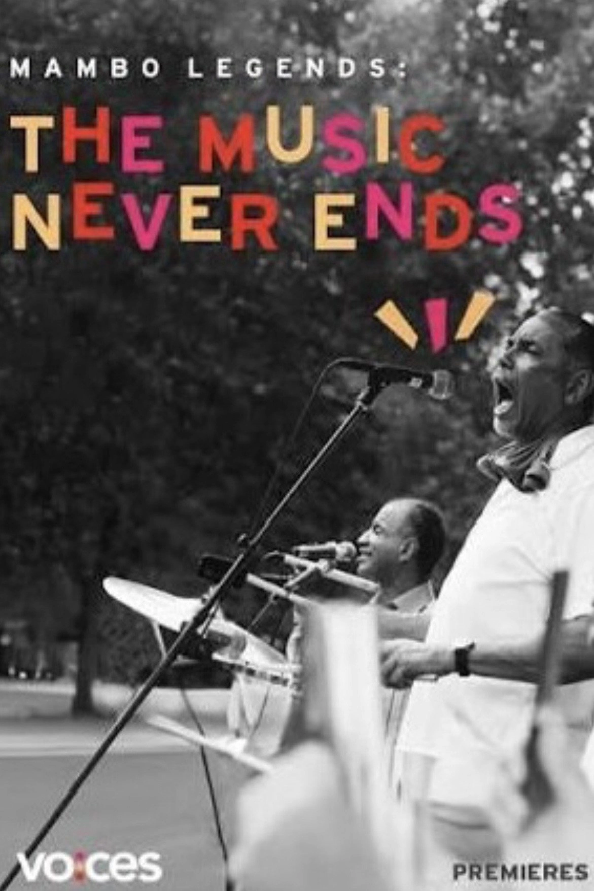 Mambo Legends: The Music Never Ends