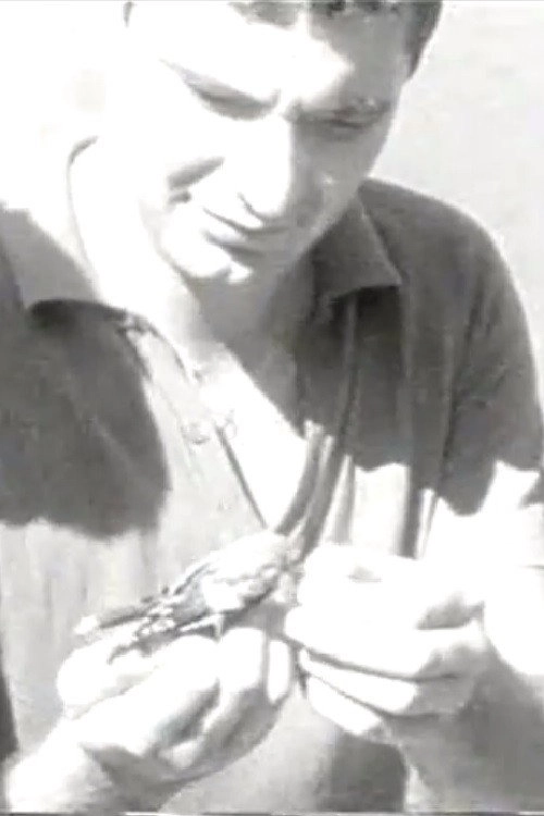 Ozhelanda