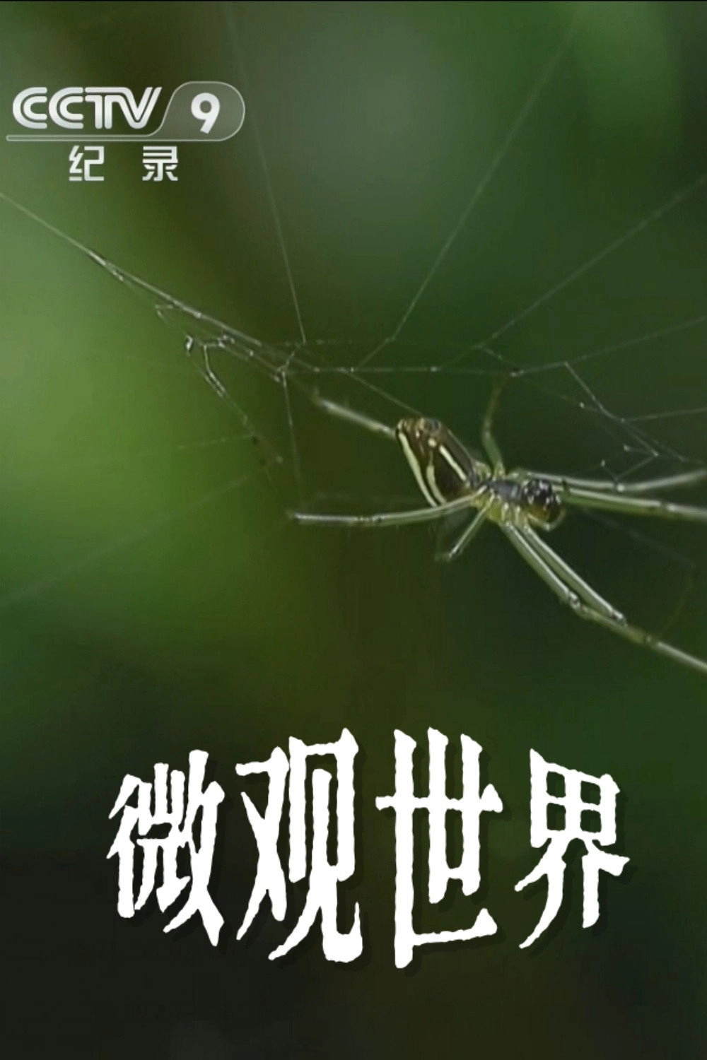 微观世界