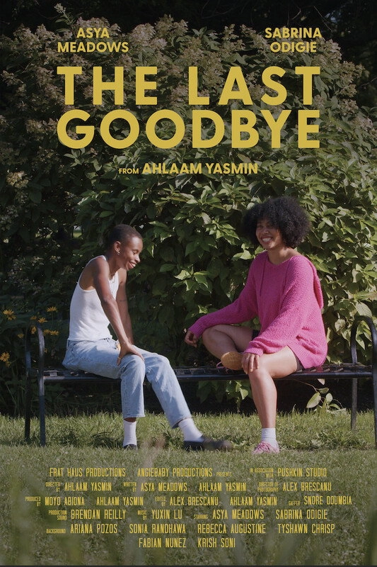 The Last Goodbye